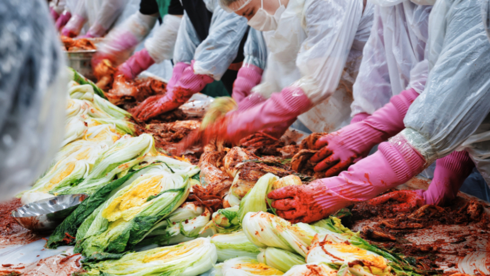 부산 스테이크, ‘사랑의 김장 나눔 봉사’로 기장군 이웃들에게 겨울 온기 전하다